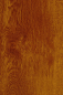Preview: Haustür Kunststoff SecuDoor Exclusiv 11159E Golden Oak