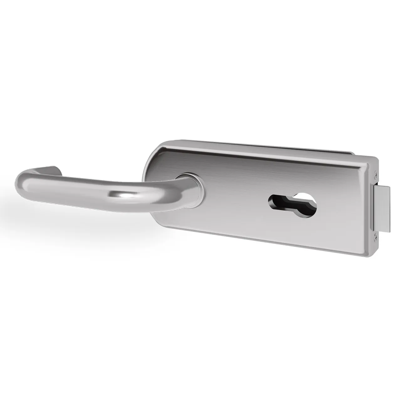 Glastürgriff Eleganto 1GR Edelstahl inkl. Set Bänder