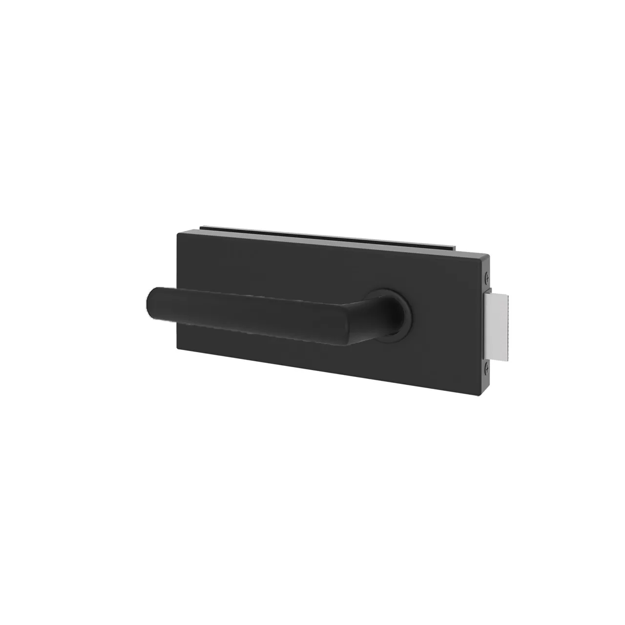 Glastürgriff Eleganto 2GE-S Schwarz matt inkl. Set Bänder