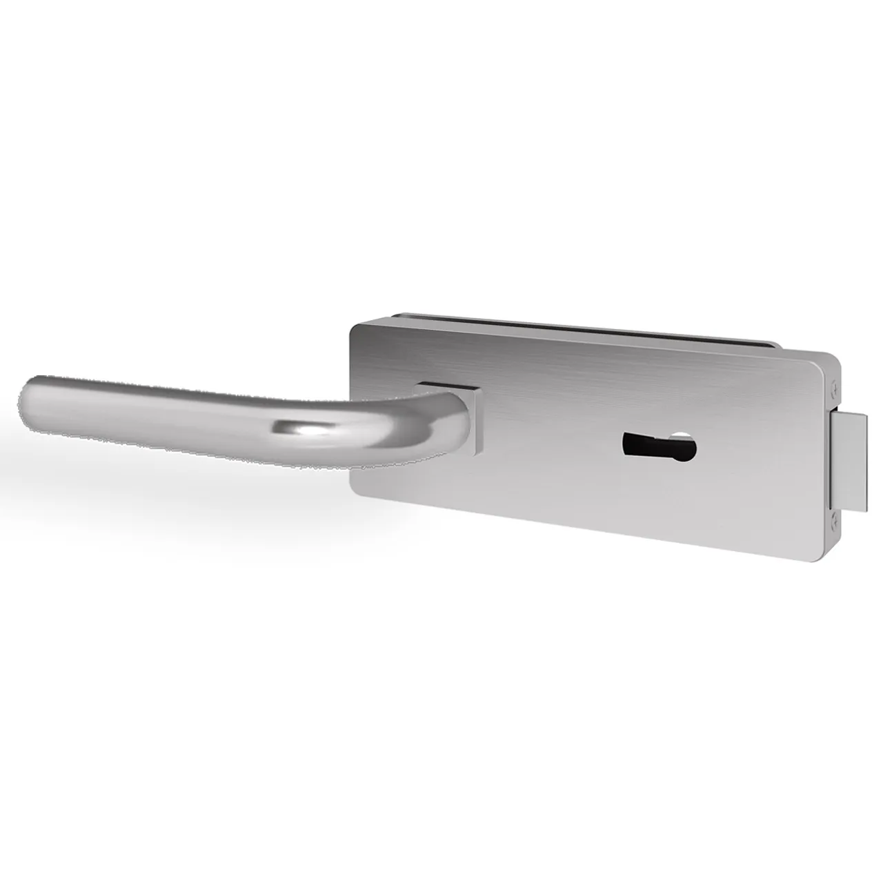 Glastürgriff Eleganto 3GS Edelstahl inkl. Set Bänder