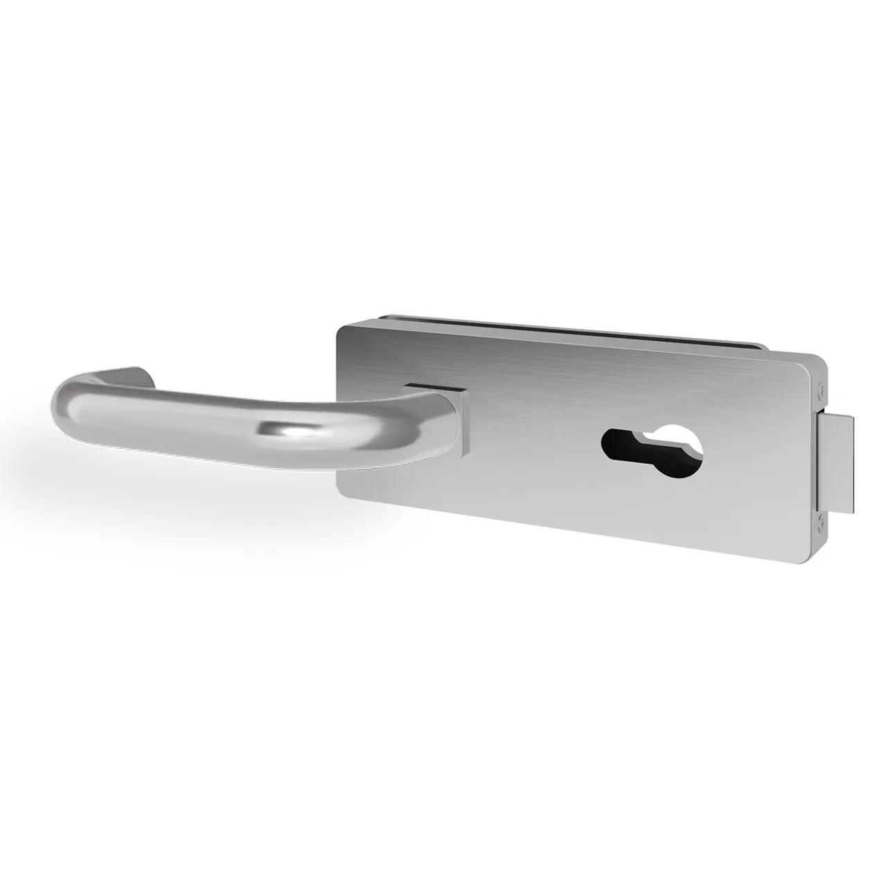 Glastürgriff Eleganto 1GS Edelstahl inkl. Set Bänder