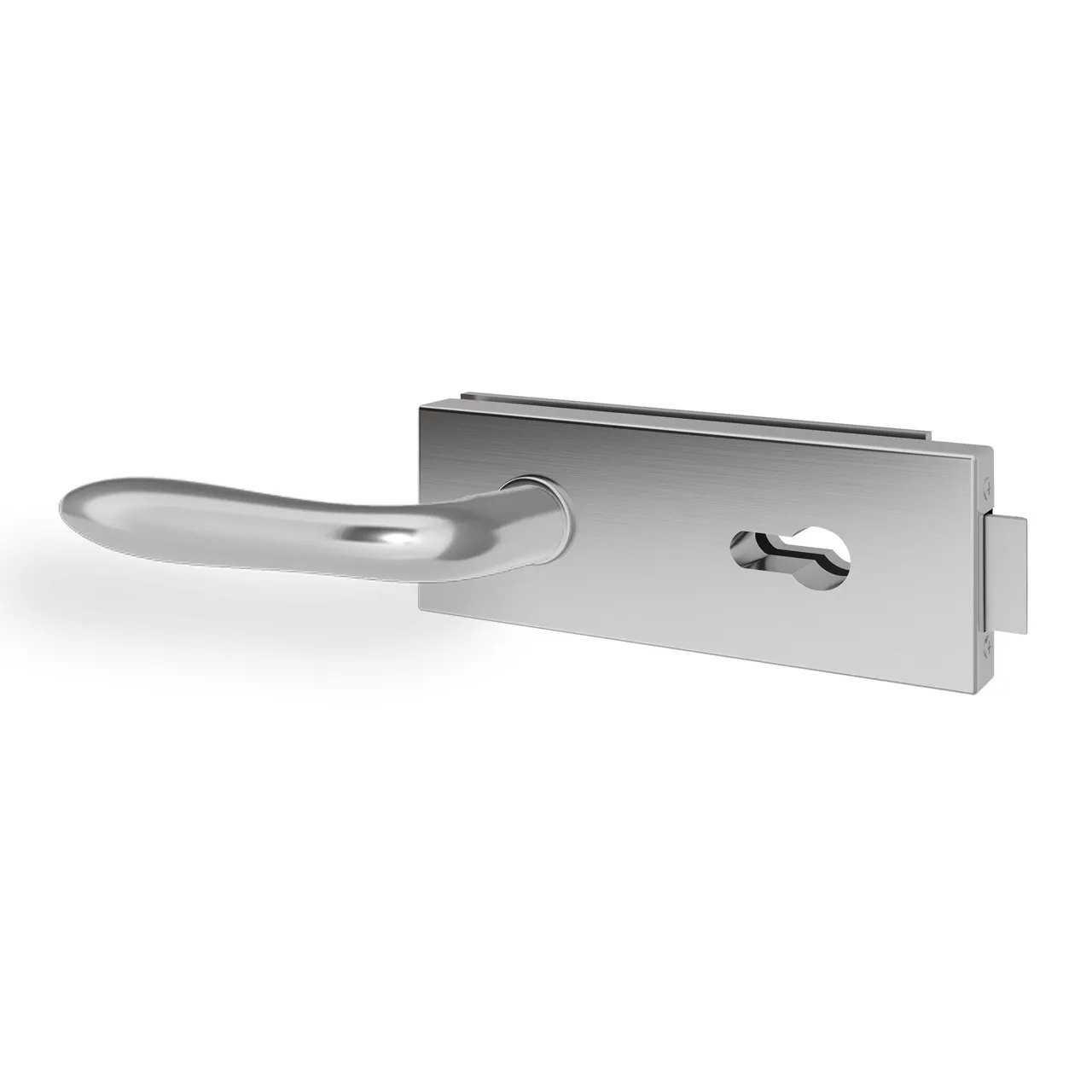 Glastürgriff Eleganto 5GE Edelstahl inkl. Set Bänder