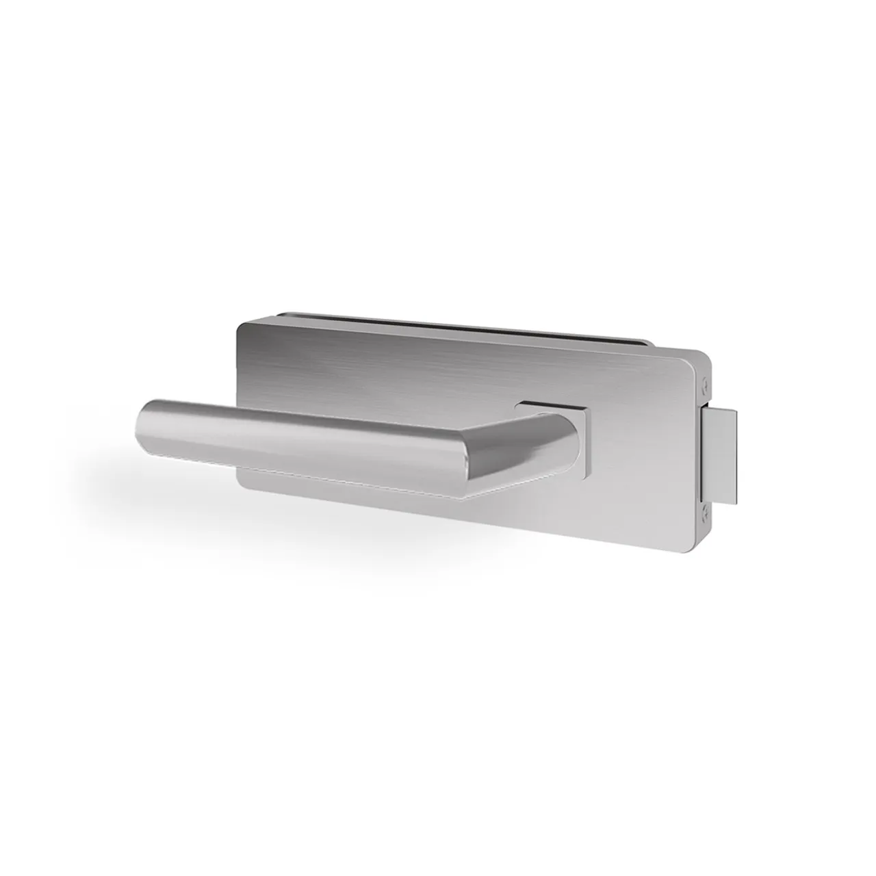 Glastürgriff Eleganto 2GS Edelstahl inkl. Set Bänder