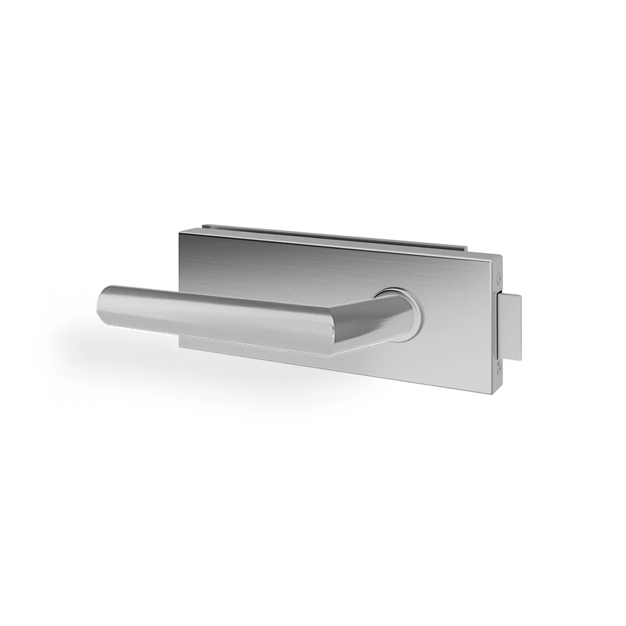 Glastürgriff Eleganto 2GE Edelstahl inkl. Set Bänder