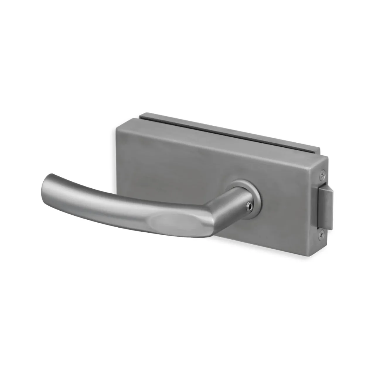 Glastürgriff Eleganto 17GE inkl. Set Bänder