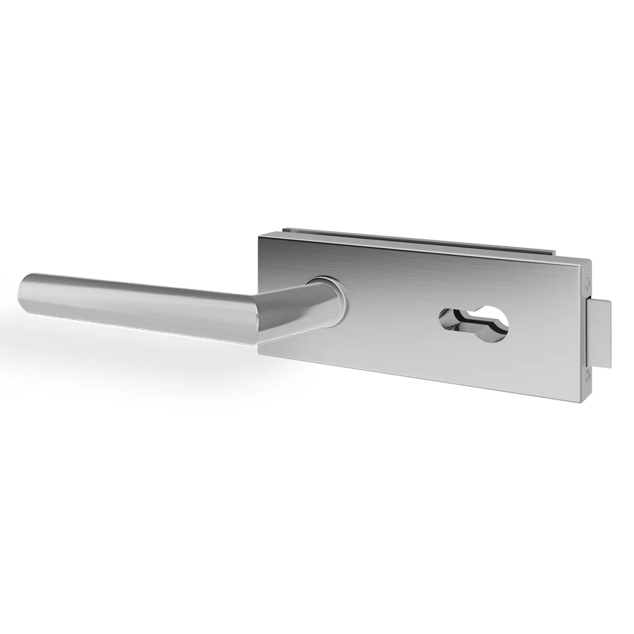 Glastürgriff Eleganto 2GE Edelstahl inkl. Set Bänder