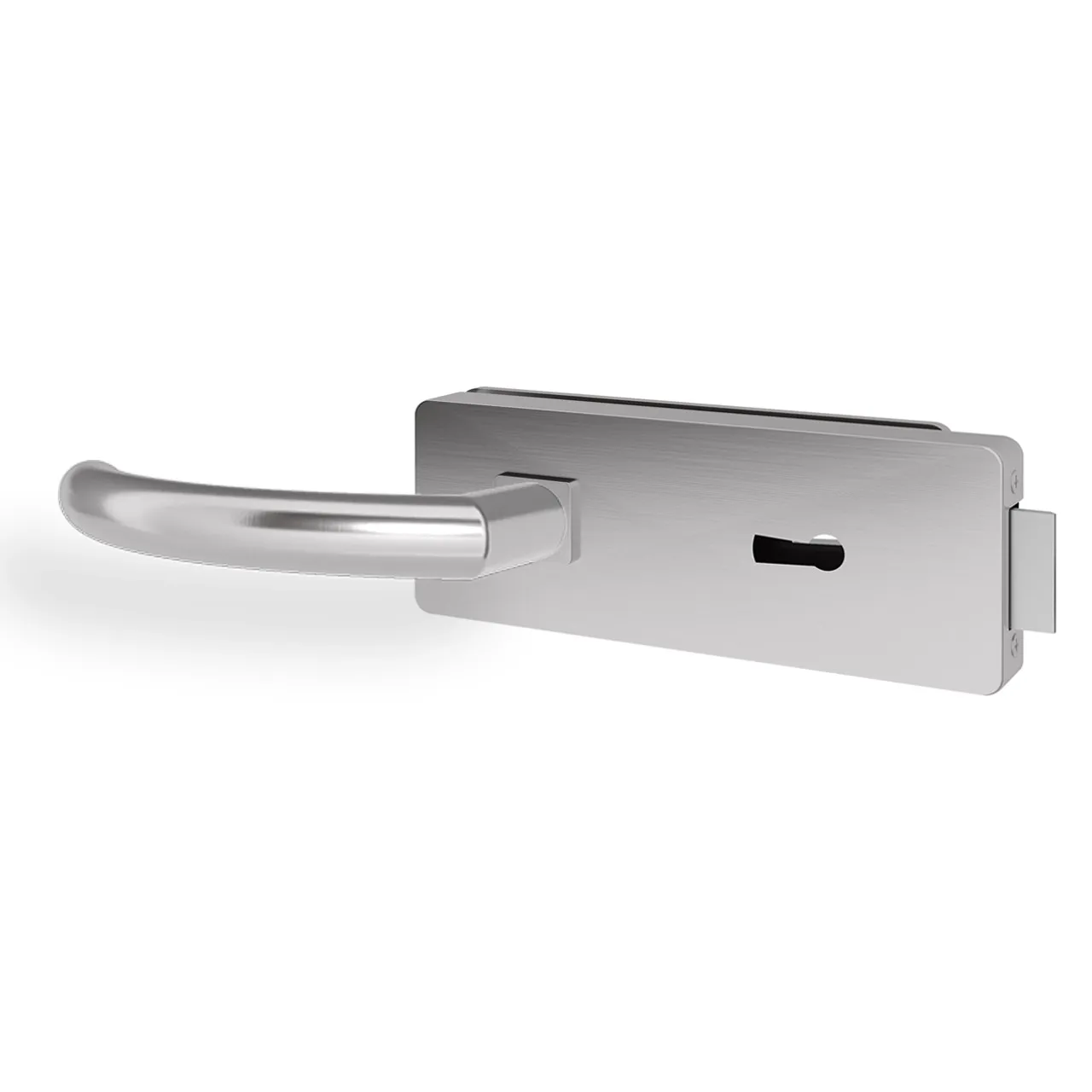 Glastürgriff Eleganto 6GS Edelstahl inkl. Set Bänder