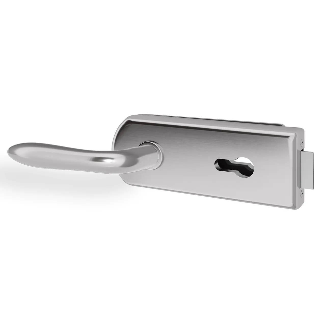 Glastürgriff Eleganto 5GR Edelstahl inkl. Set Bänder
