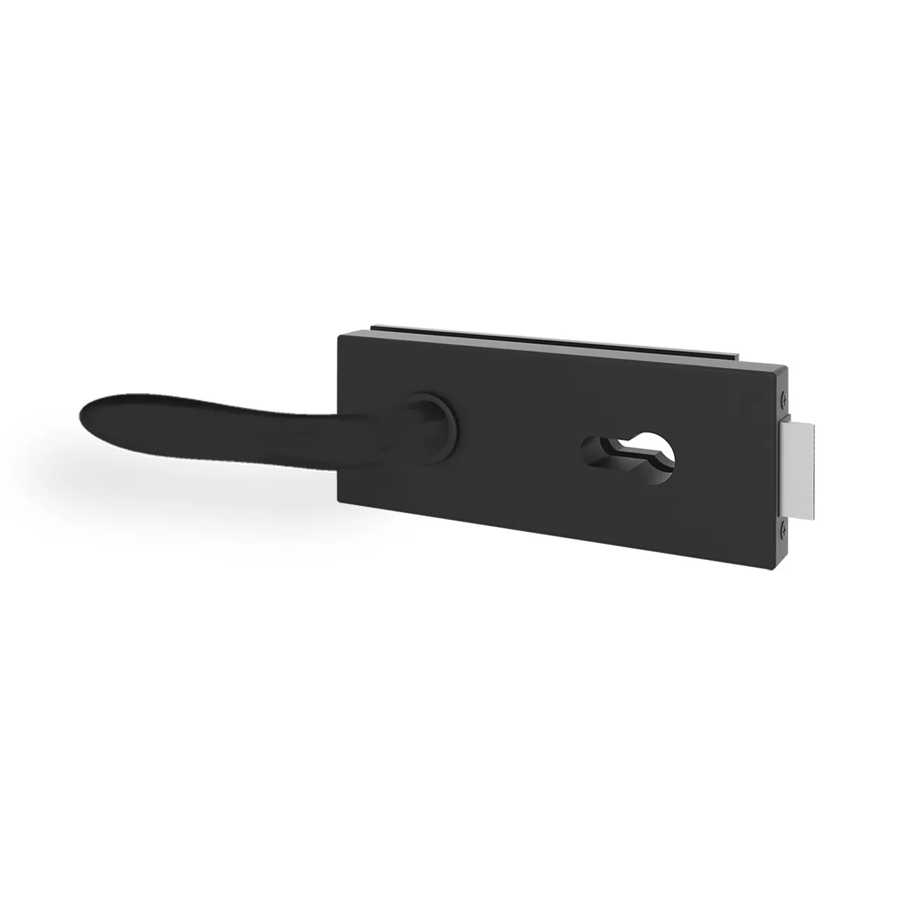 Glastürgriff Eleganto 5GE-S Schwarz matt inkl. Set Bänder