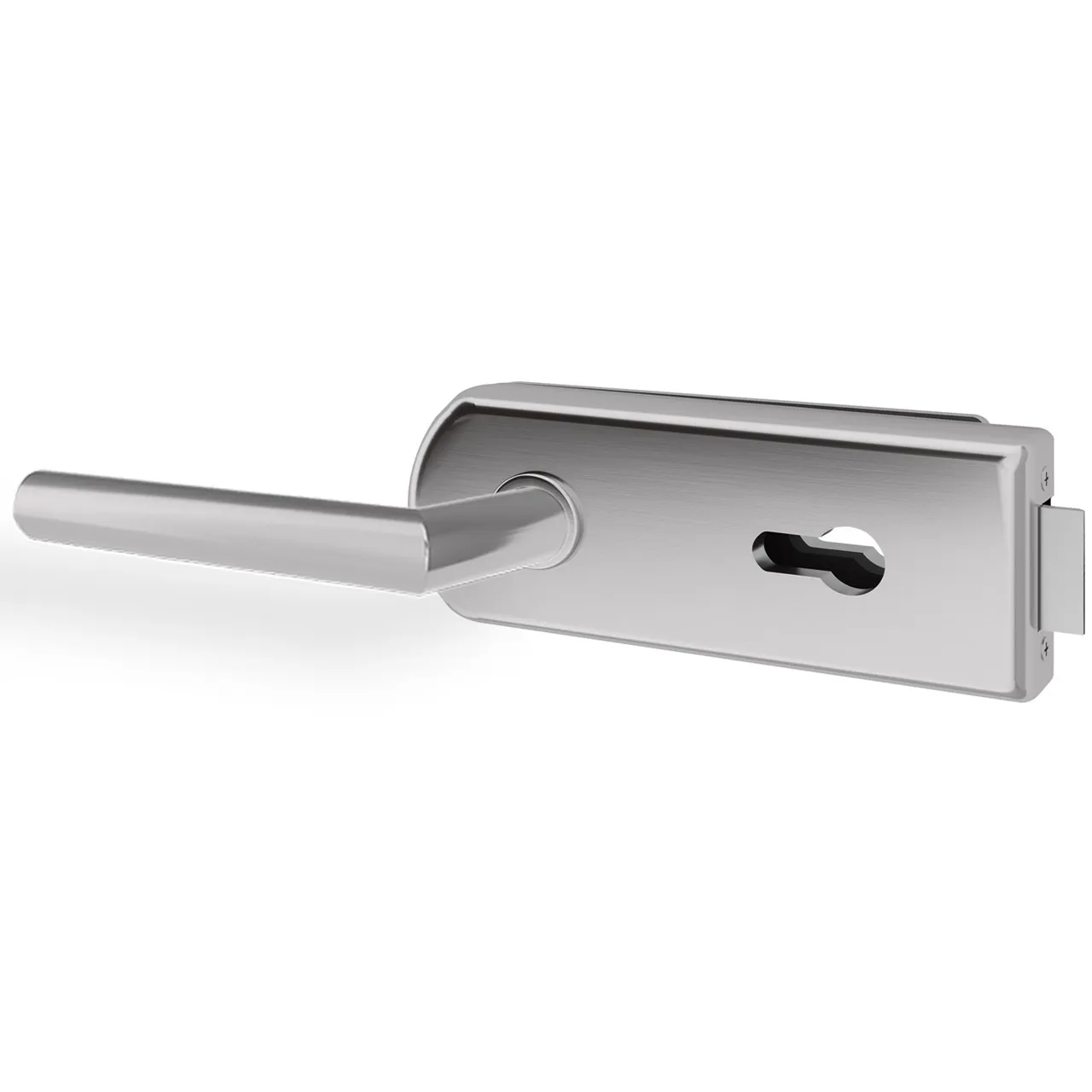 Glastürgriff Eleganto 2GR Edelstahl inkl. Set Bänder