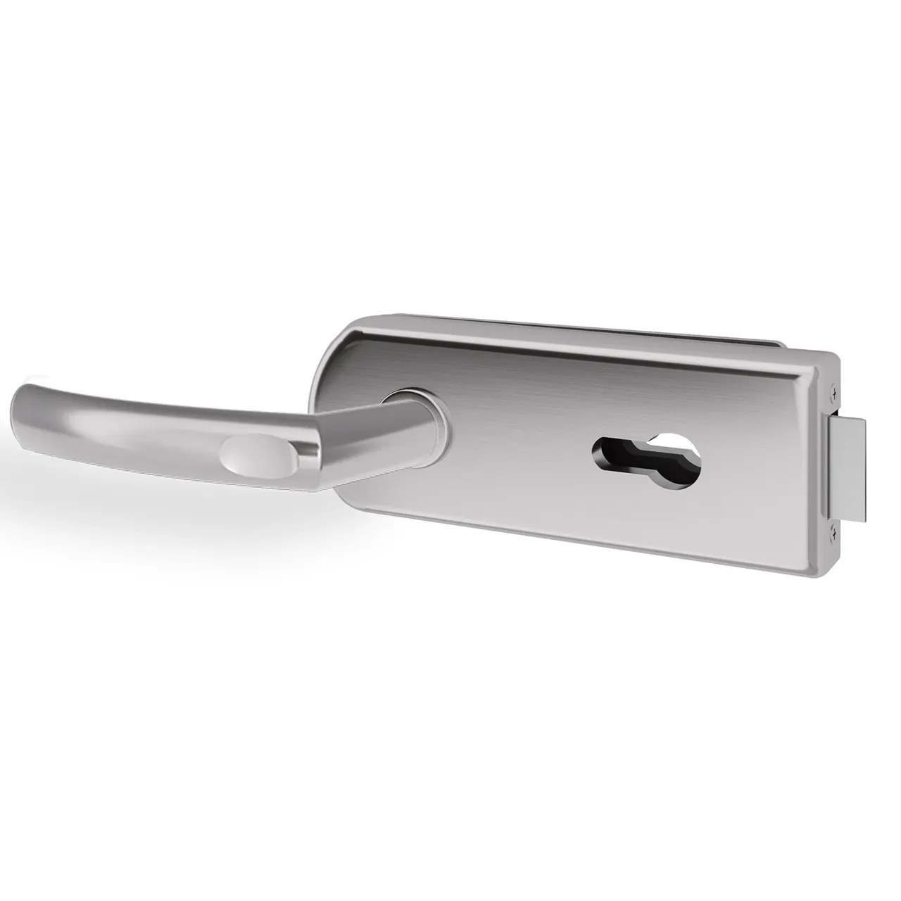 Glastürgriff Eleganto 17GR Edelstahl inkl. Set Bänder