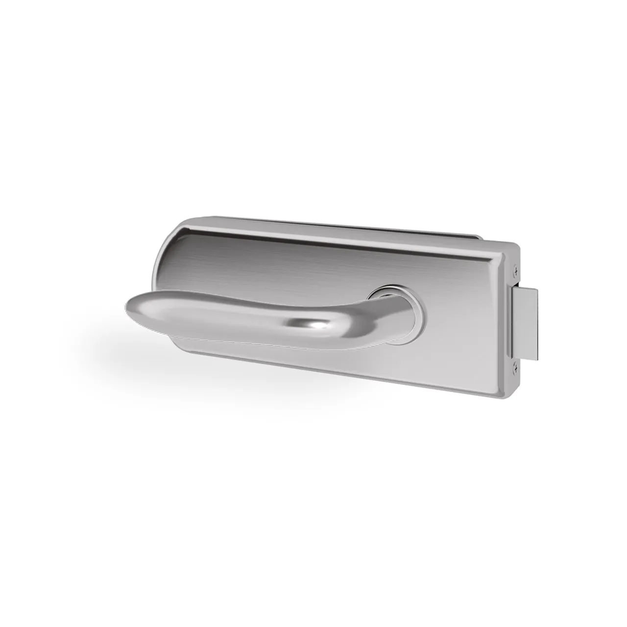 Glastürgriff Eleganto 5GR Edelstahl inkl. Set Bänder