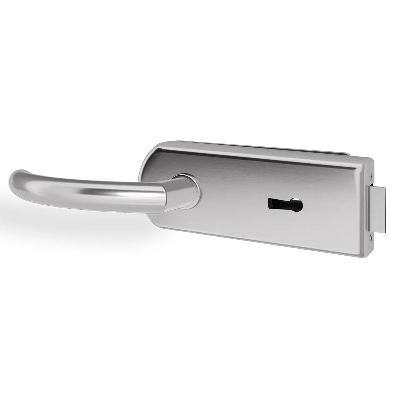 Glastürgriff Eleganto 6GR Edelstahl inkl. Set Bänder