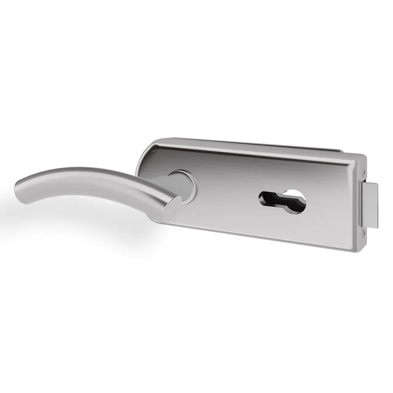 Glastürgriff Eleganto 16GR Edelstahl inkl. Set Bänder
