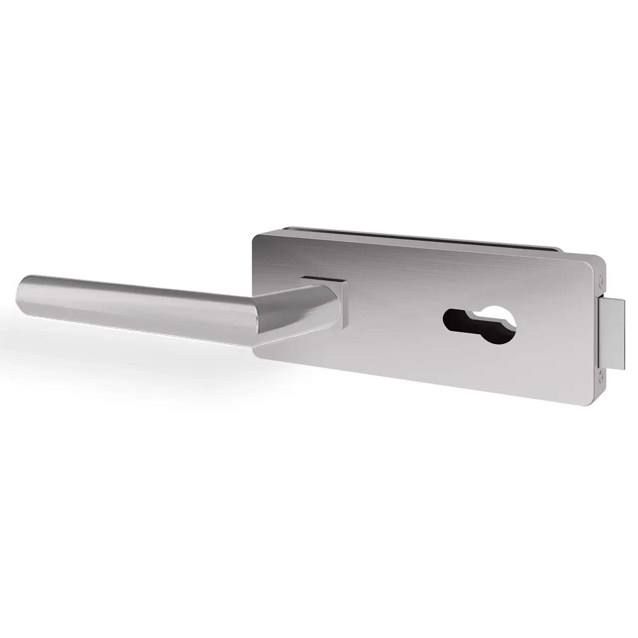Glastürgriff Eleganto 2GS Edelstahl inkl. Set Bänder